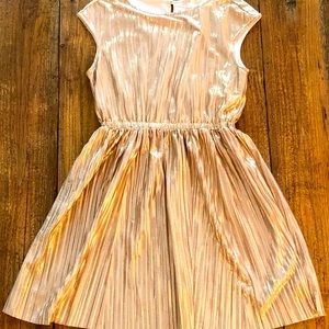 J Crew Girls Holiday Dress